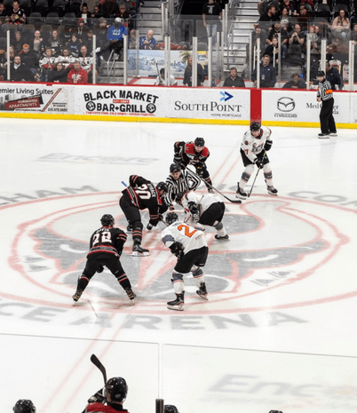 Birmingham Bulls Ice Hockey