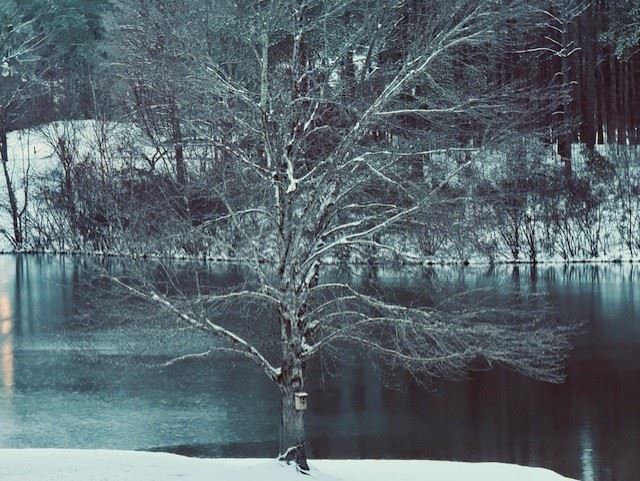 Snow Day in Pelham January 10, 2024